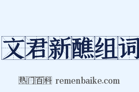 文君新醮组词是什么意思的图片